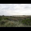 Nissum Bredning, ein Teil des Limfjords